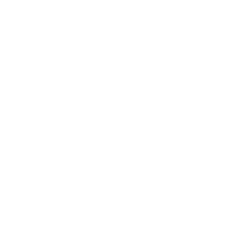 Support Facial Structure